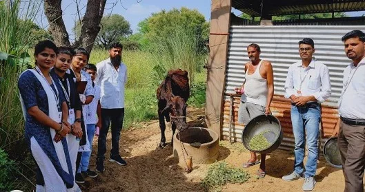 à¤—à¥Œ à¤¸à¥‡à¤µà¤¾ à¤…à¤­à¤¿à¤¯à¤¾à¤¨ -à¤²à¤‚à¤ªà¥€ à¤¬à¥€à¤®à¤¾à¤°à¥€ à¤•à¥‡ à¤–à¤¿à¤²à¤¾à¤«